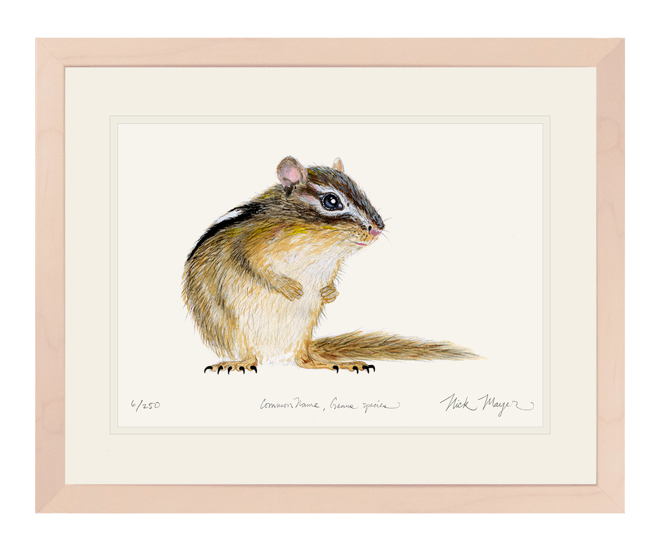 Chipmunk Print