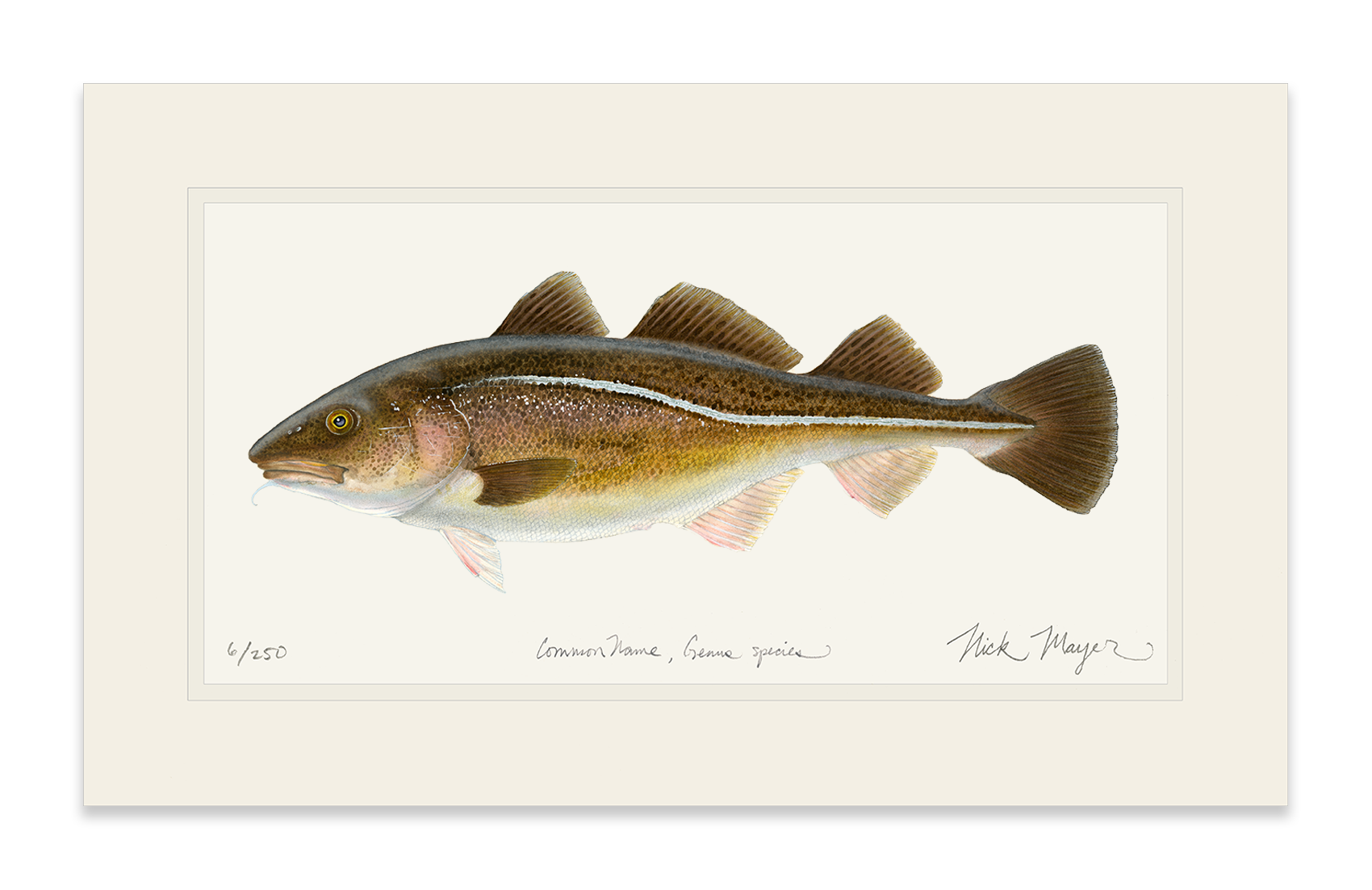 Cod Limited Edition Print