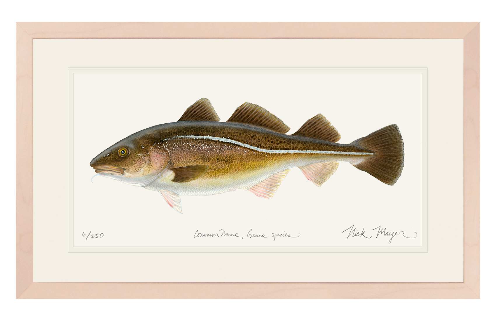 Cod Limited Edition Print