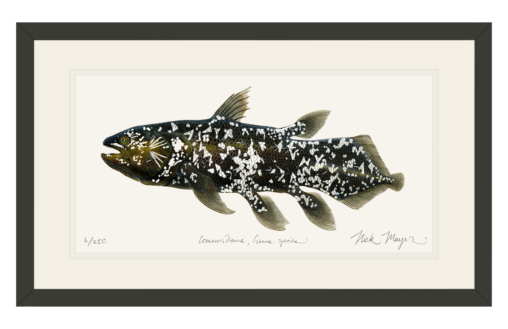 Coelacanth Print