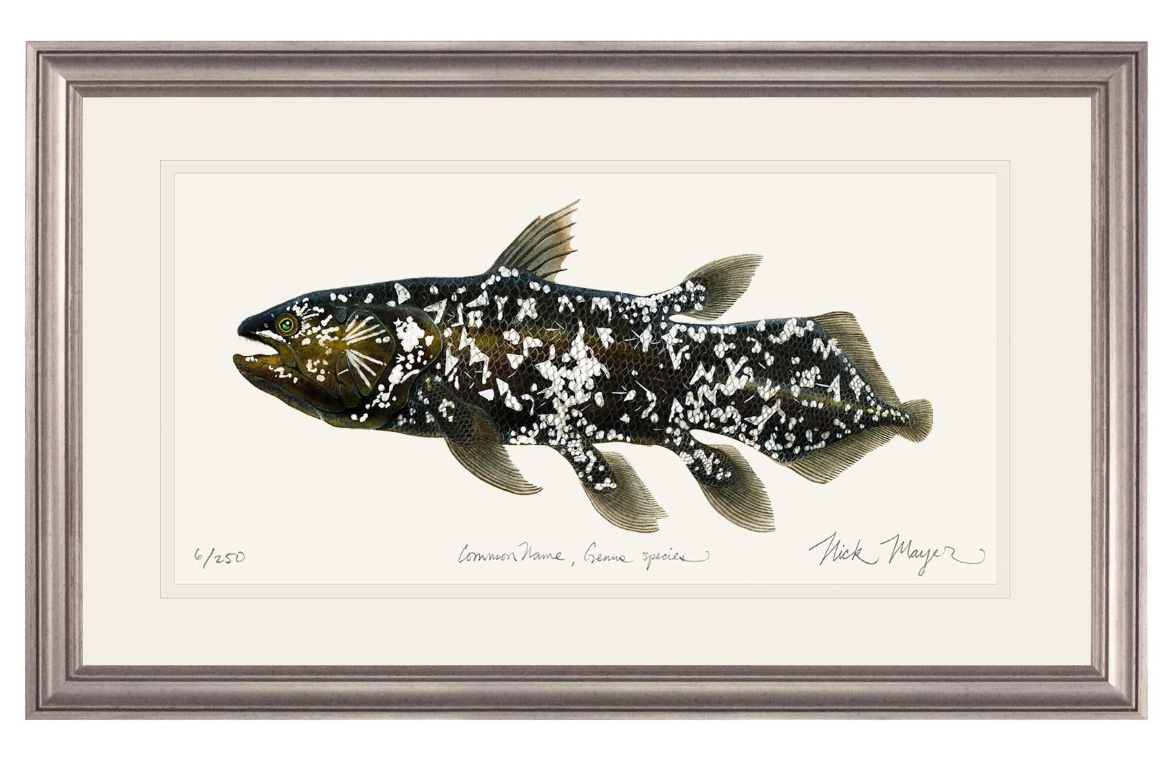 Coelacanth Print