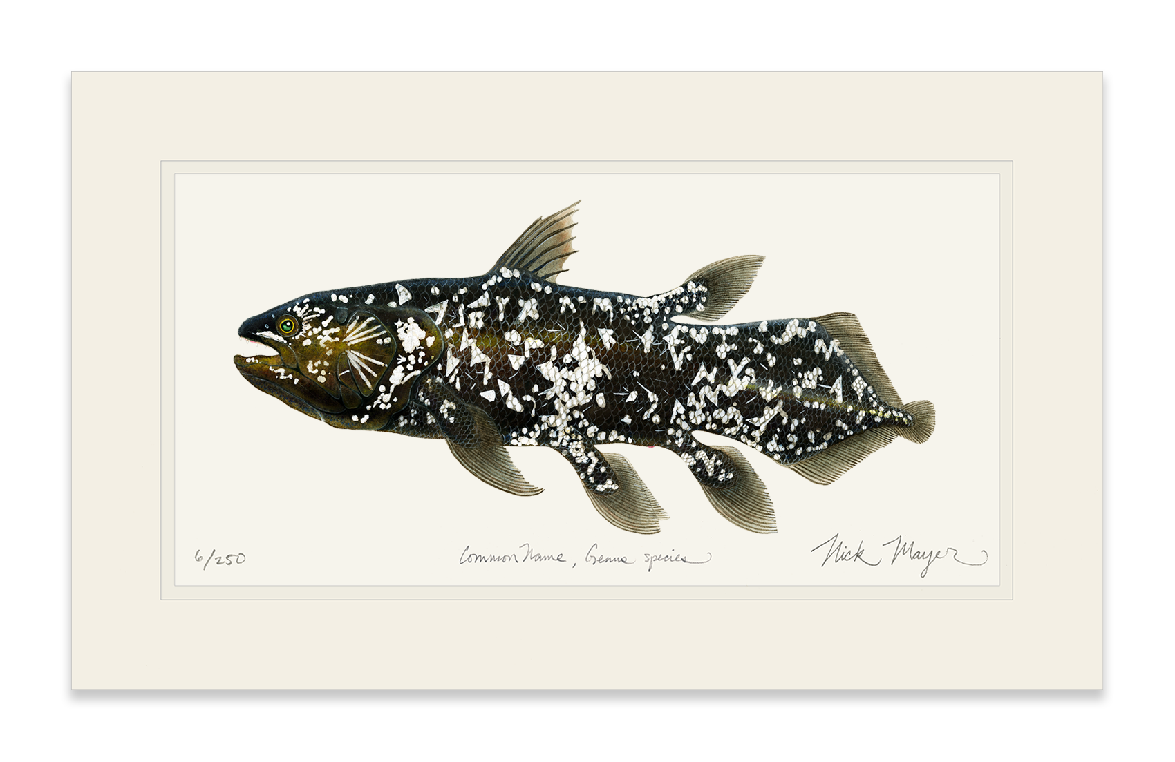Coelacanth Print