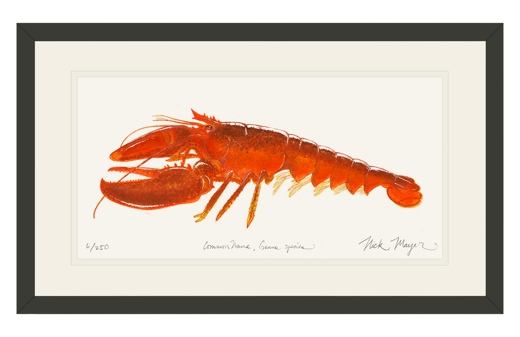 Coastal Charm for your Kitchen: Cooked Lobster II Print