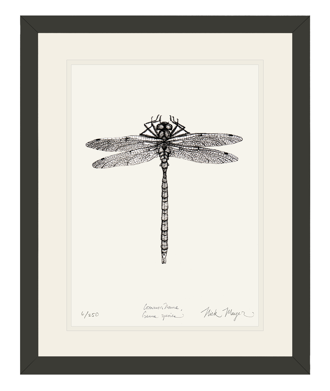 Dragonfly Print