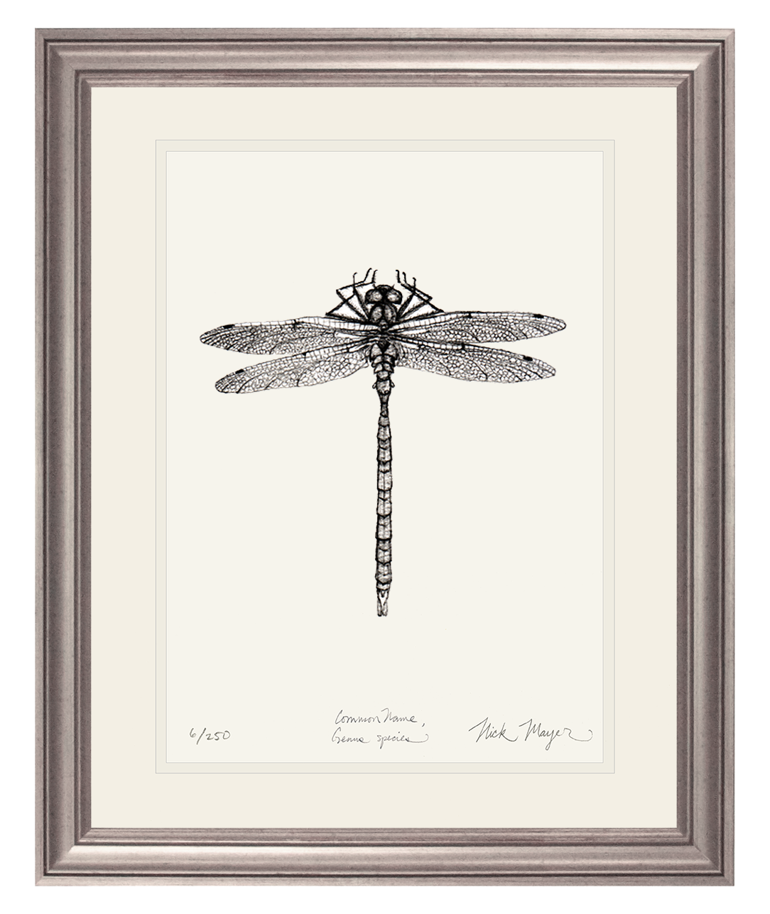 Dragonfly Print
