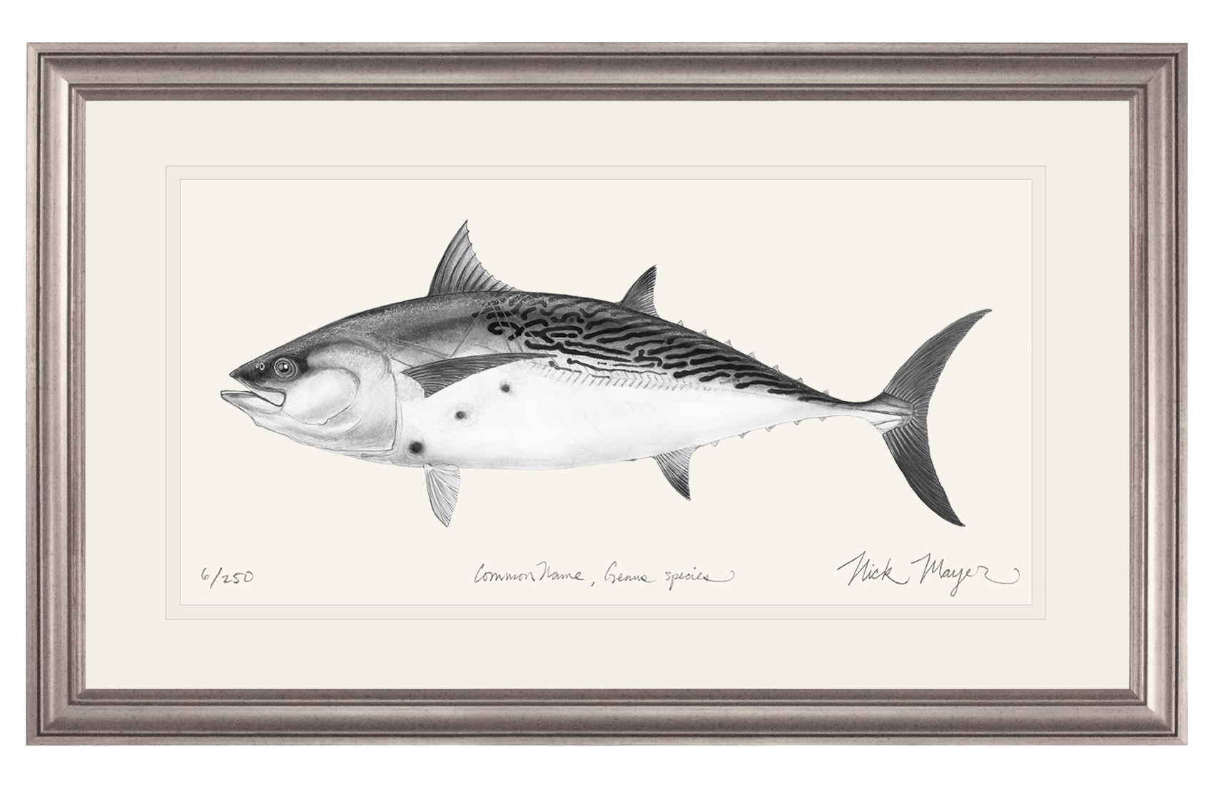 False Albacore III Limited Edition Print (B&W)