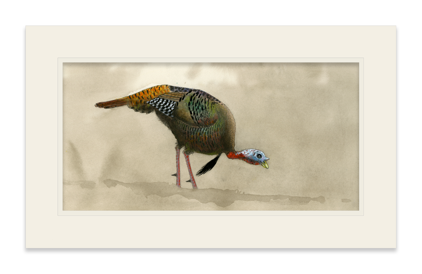 Feeding Tom Turkey Limited Edition Print