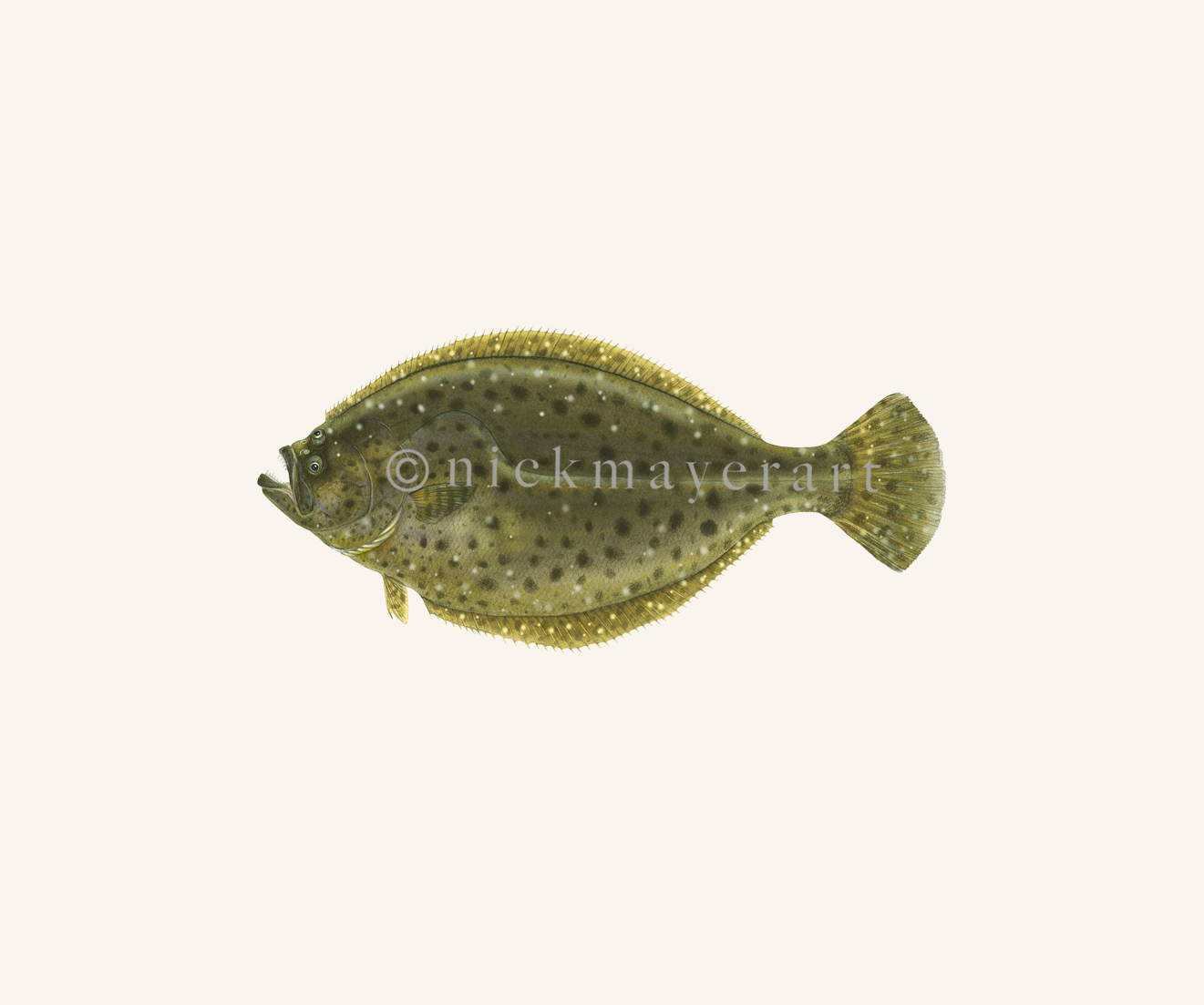 watermark