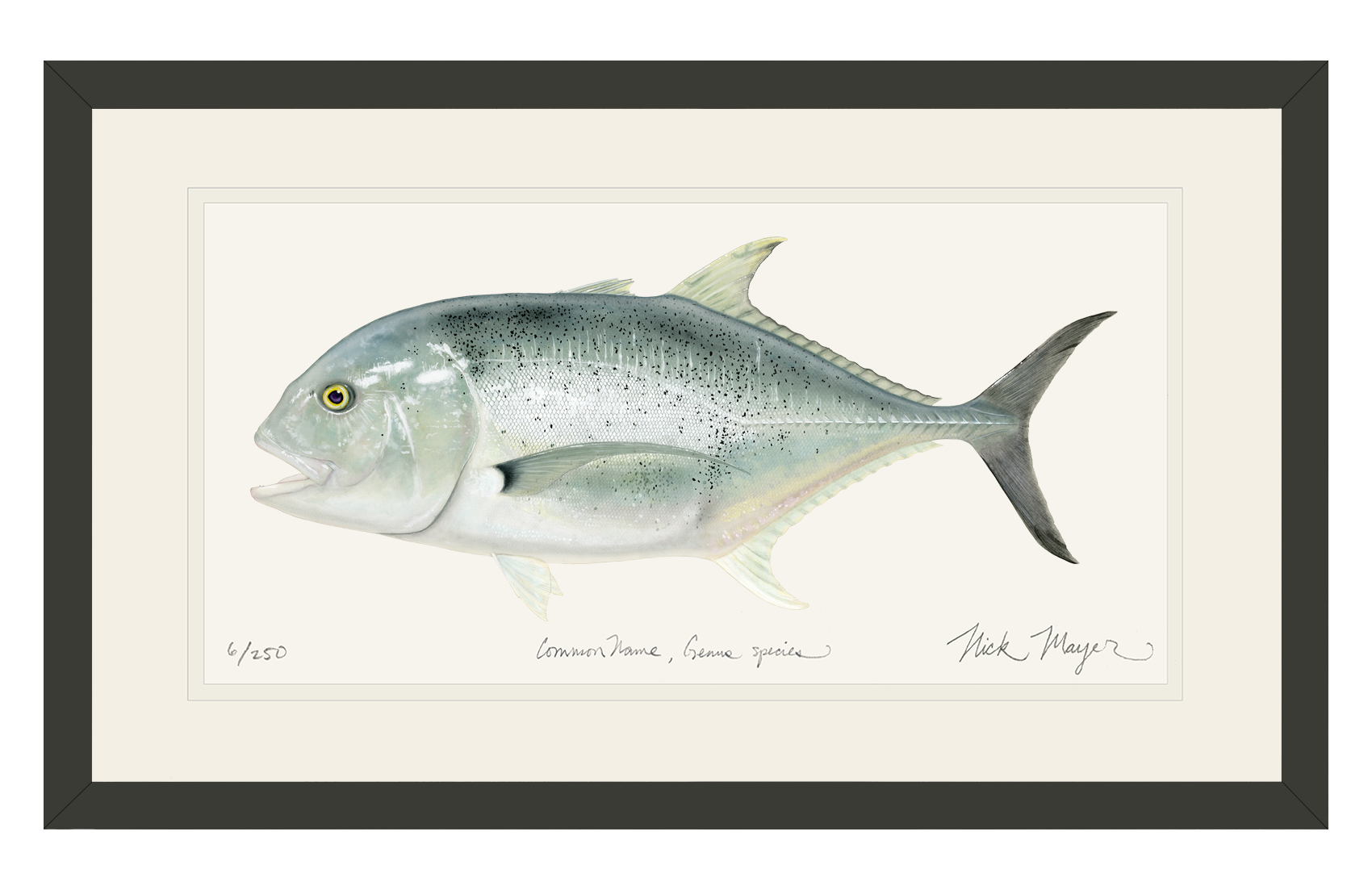 Giant Trevally 1 Print