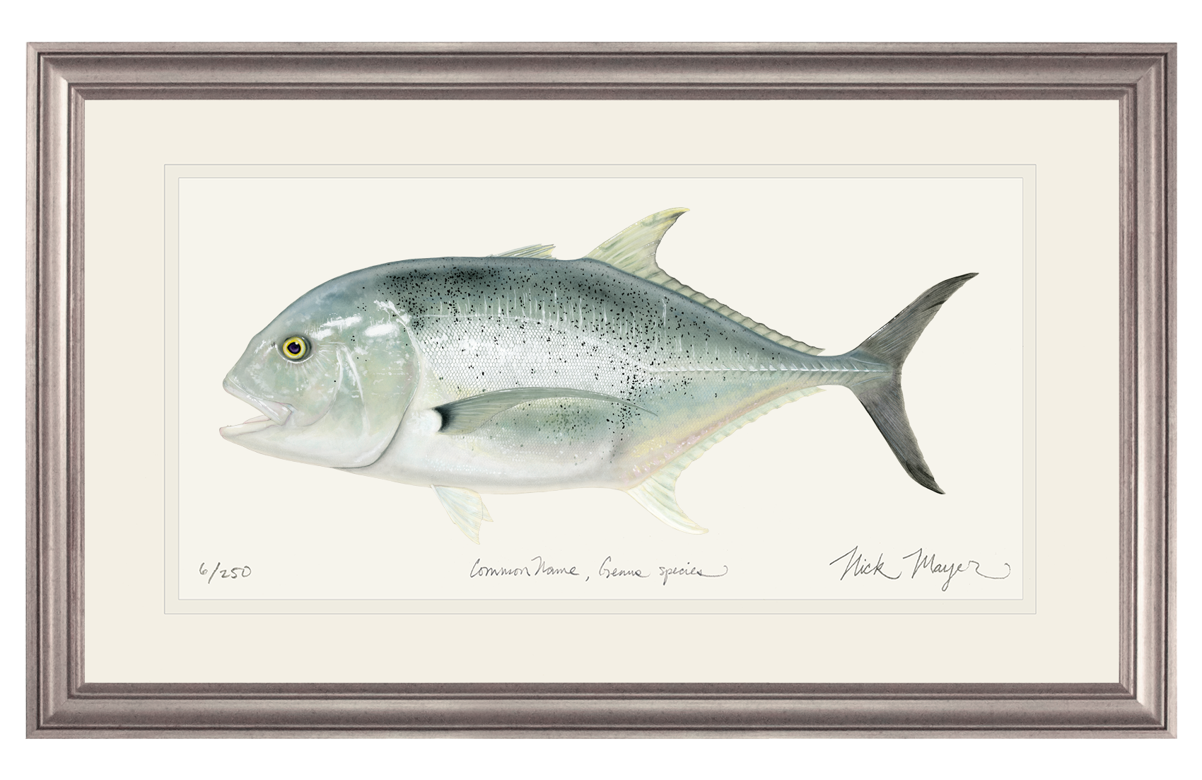 Giant Trevally 1 Limited Edition Print