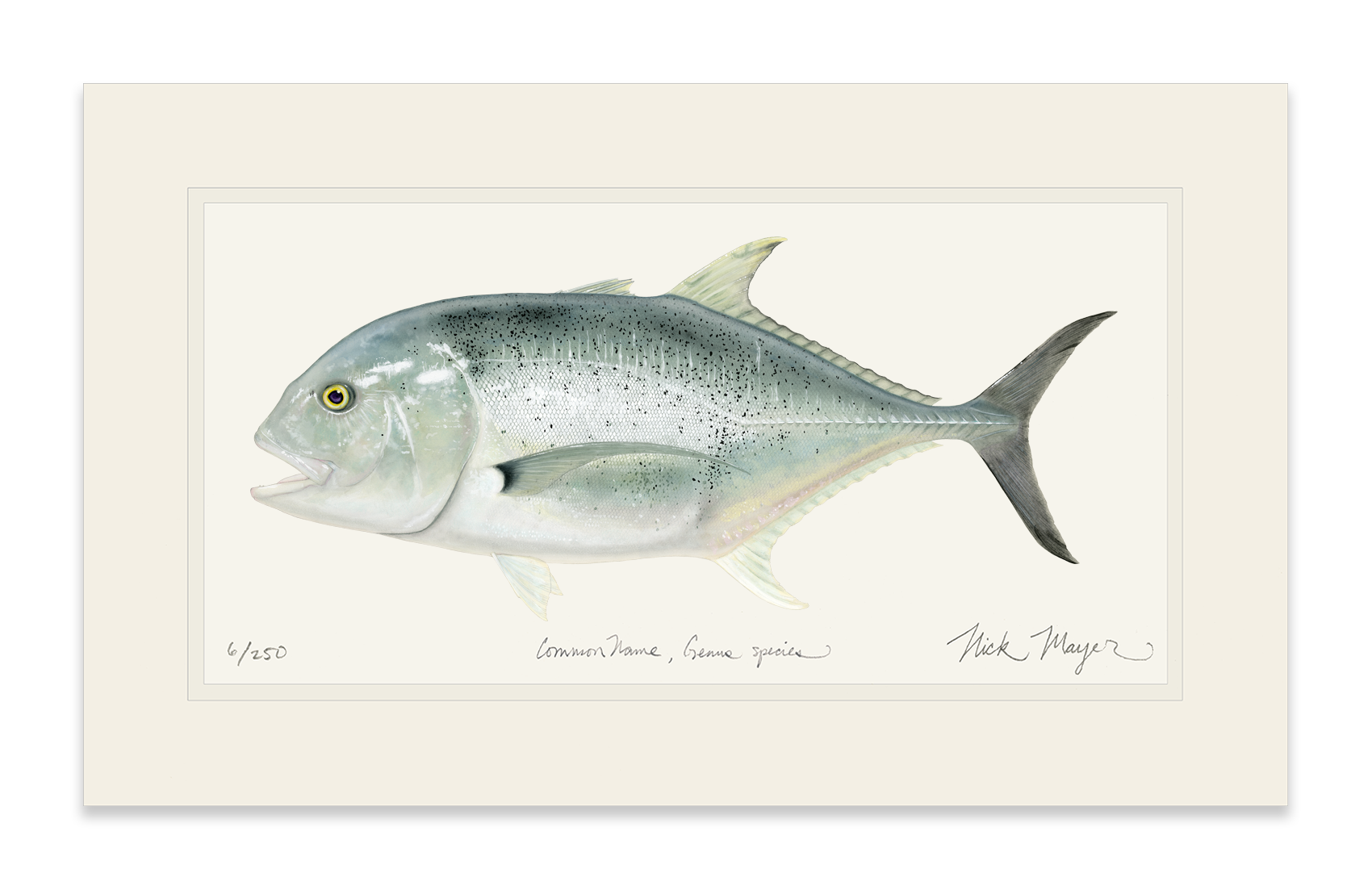 Giant Trevally 1 Limited Edition Print