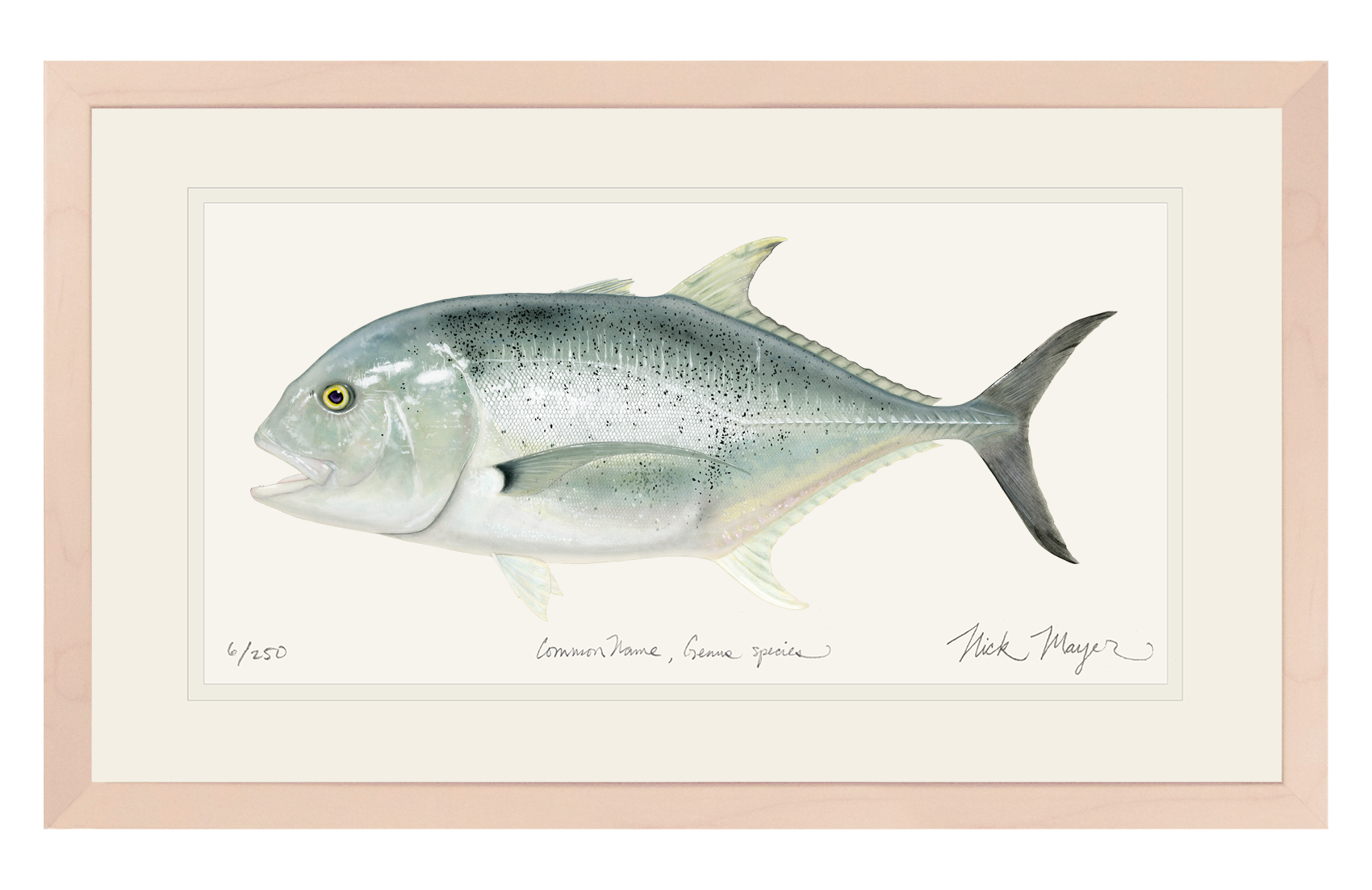 Giant Trevally 1 Limited Edition Print