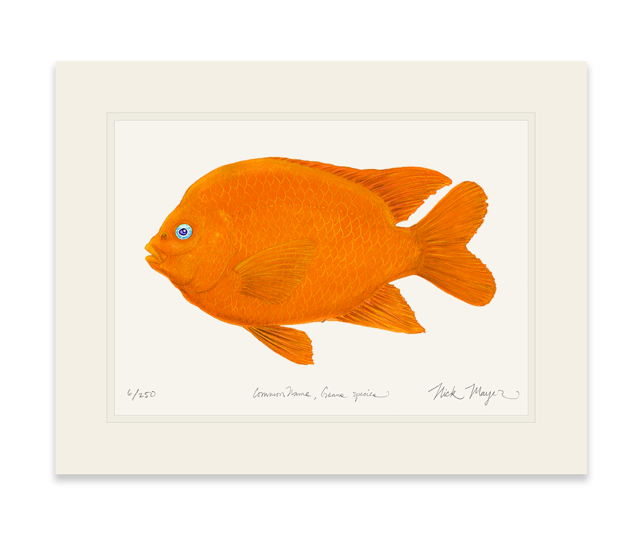 Garibaldi I Limited Edition Print