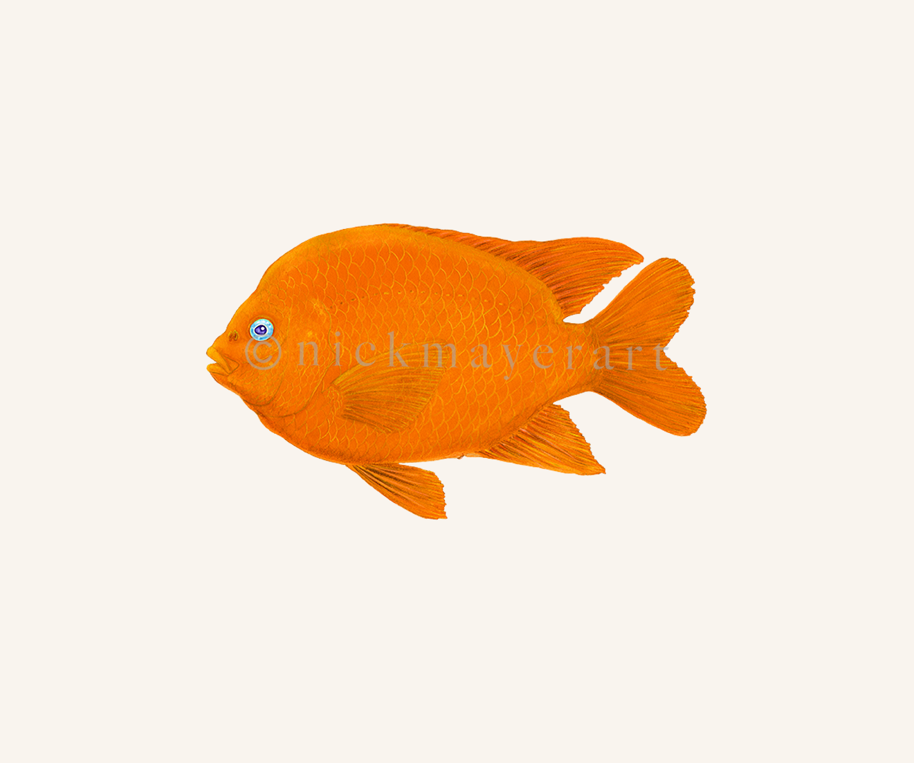 watermark