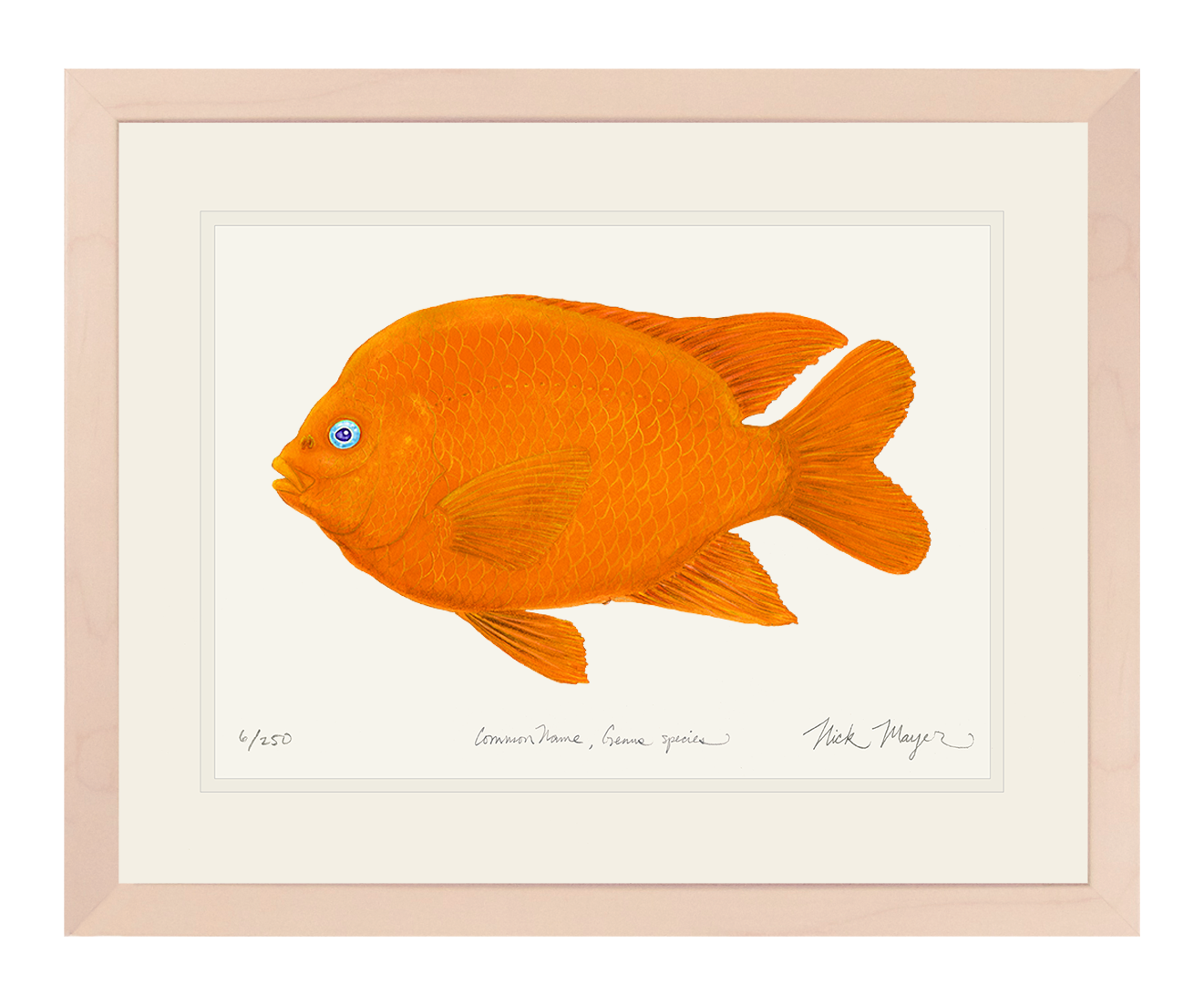 Garibaldi I Limited Edition Print