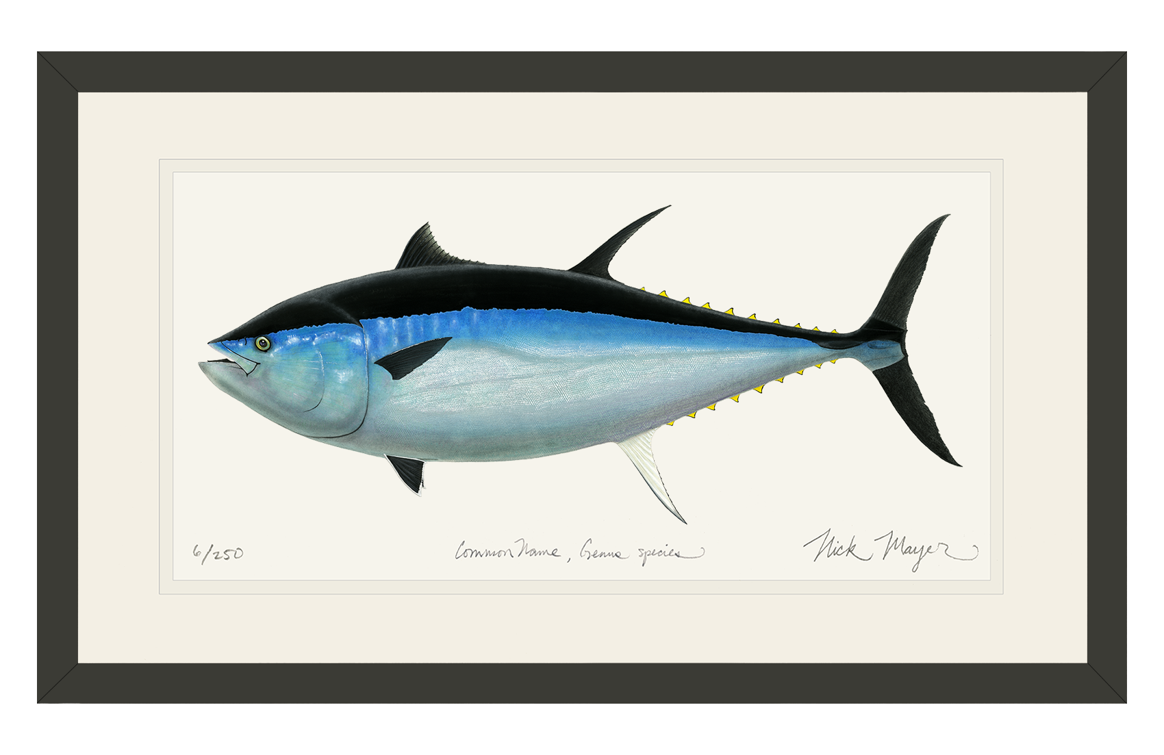 Giant Bluefin Tuna III Print