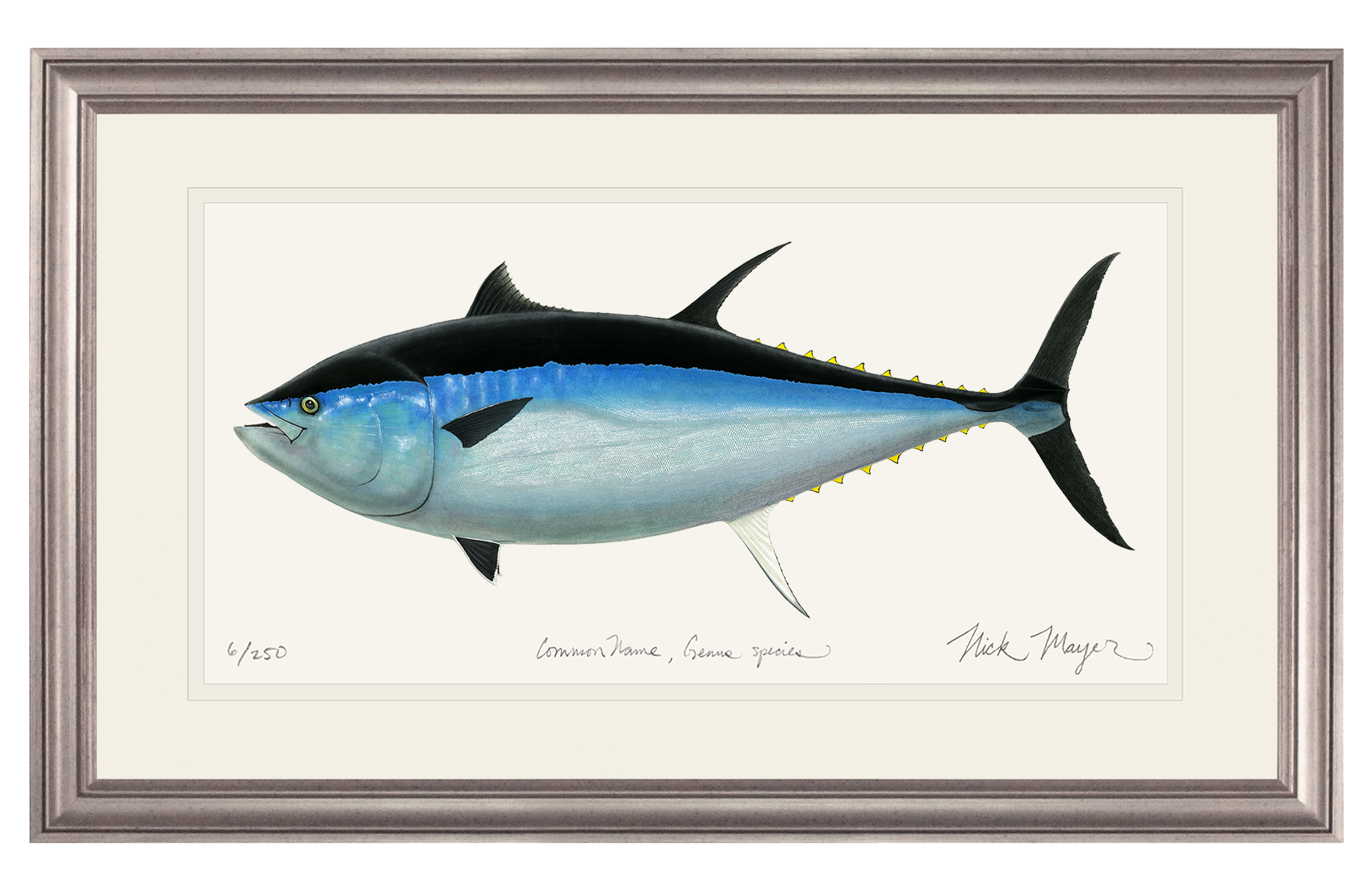 Giant Bluefin Tuna III Print