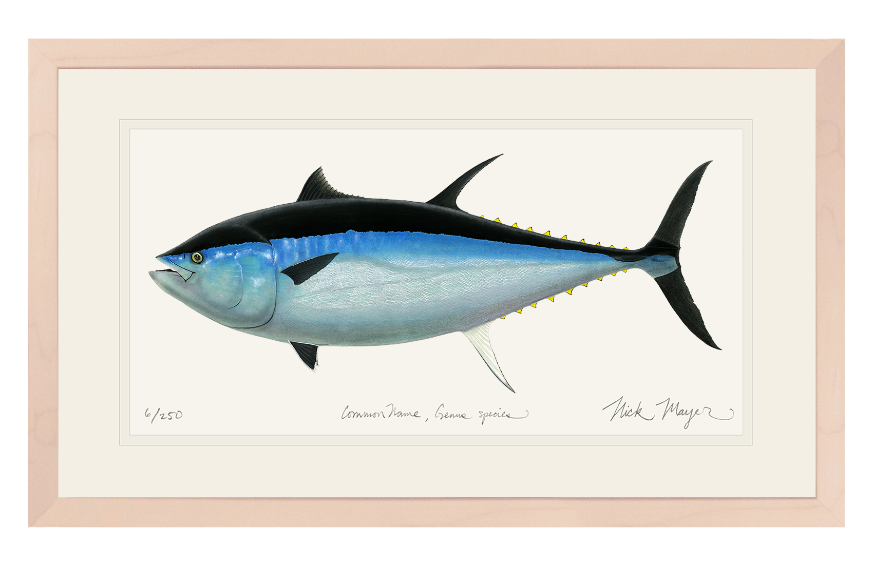 Giant Bluefin Tuna III Print