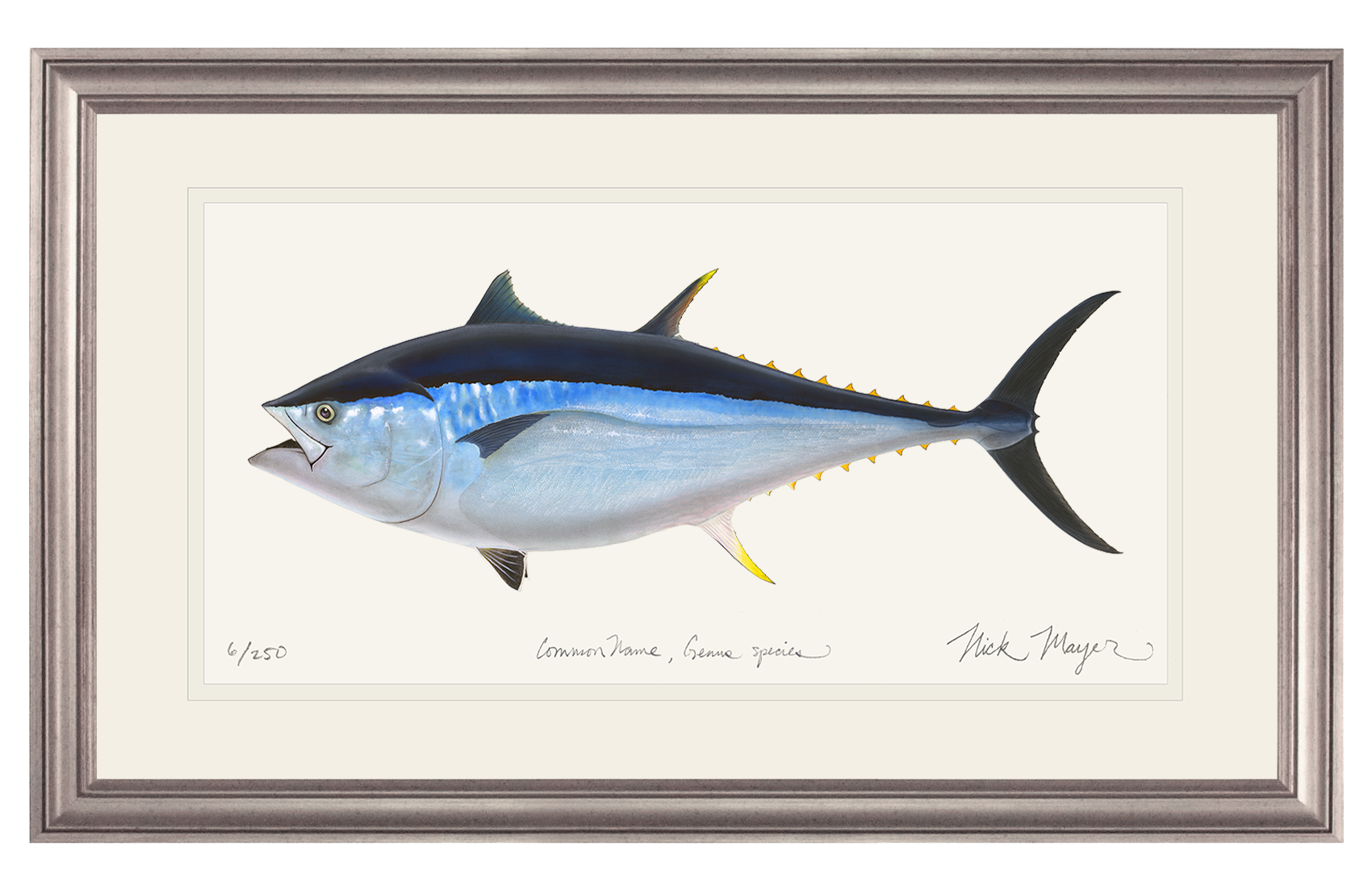 Giant Bluefin Tuna II Limited Edition Print - Best Seller