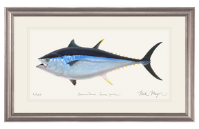 Giant Bluefin Tuna II Print - Best Seller