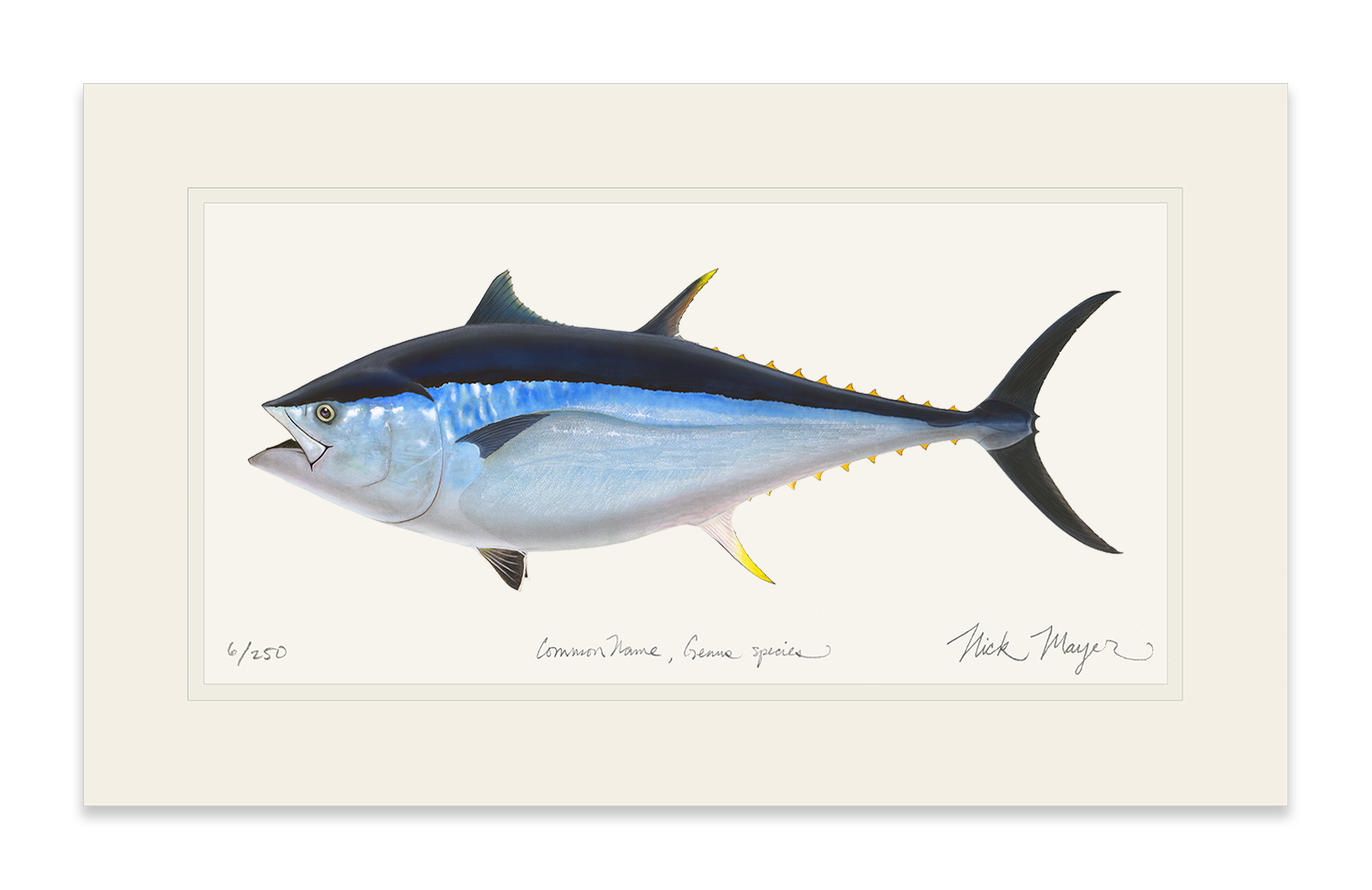 Giant Bluefin Tuna II Limited Edition Print - Best Seller