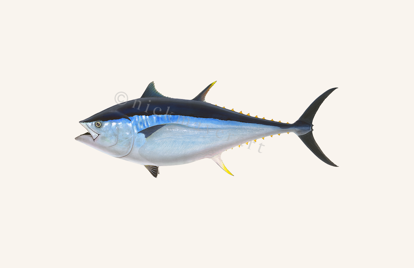 watermark