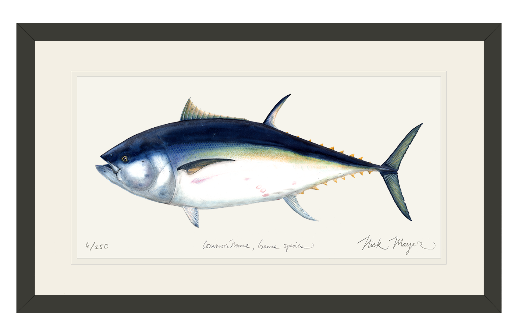 Giant Bluefin Tuna I Print
