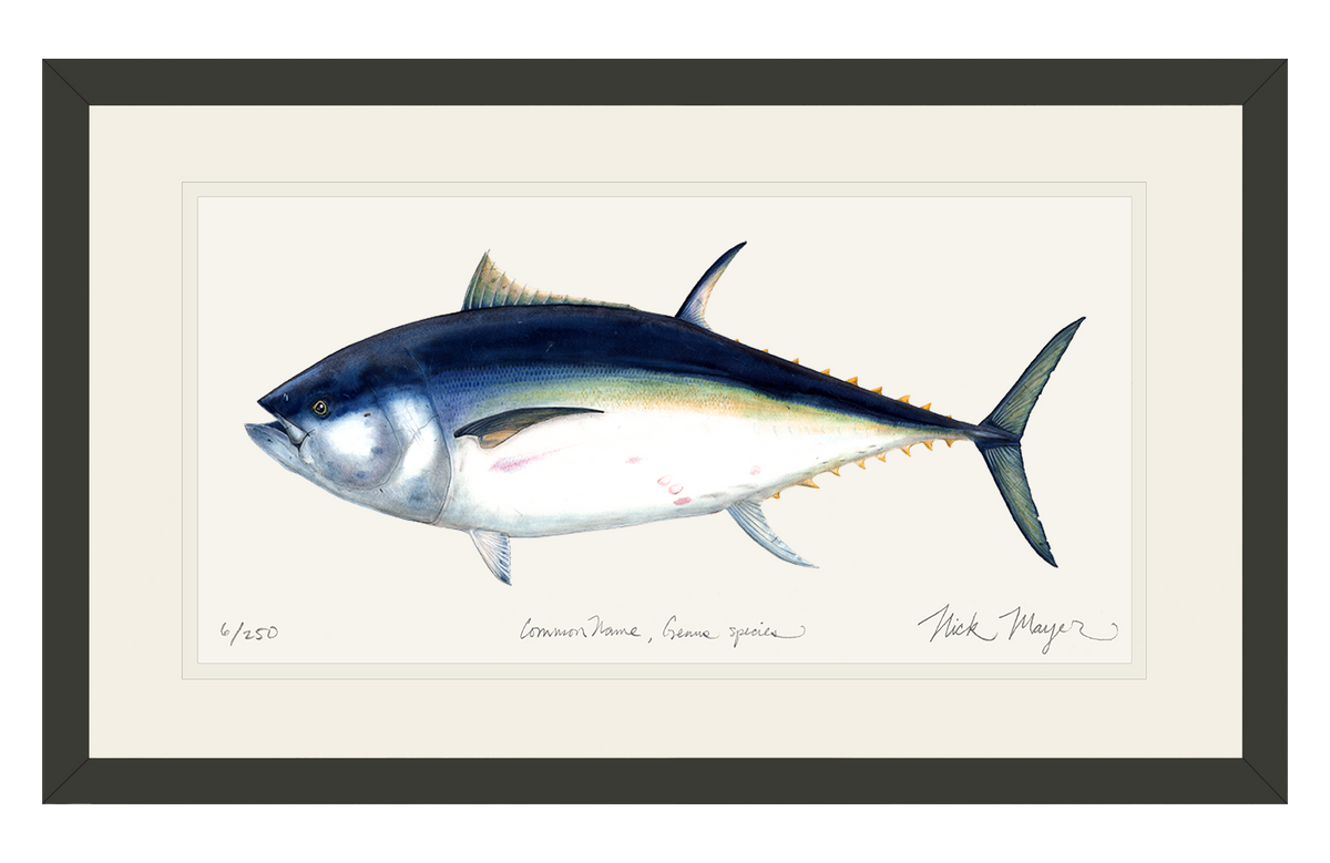 Giant Bluefin Tuna I Print