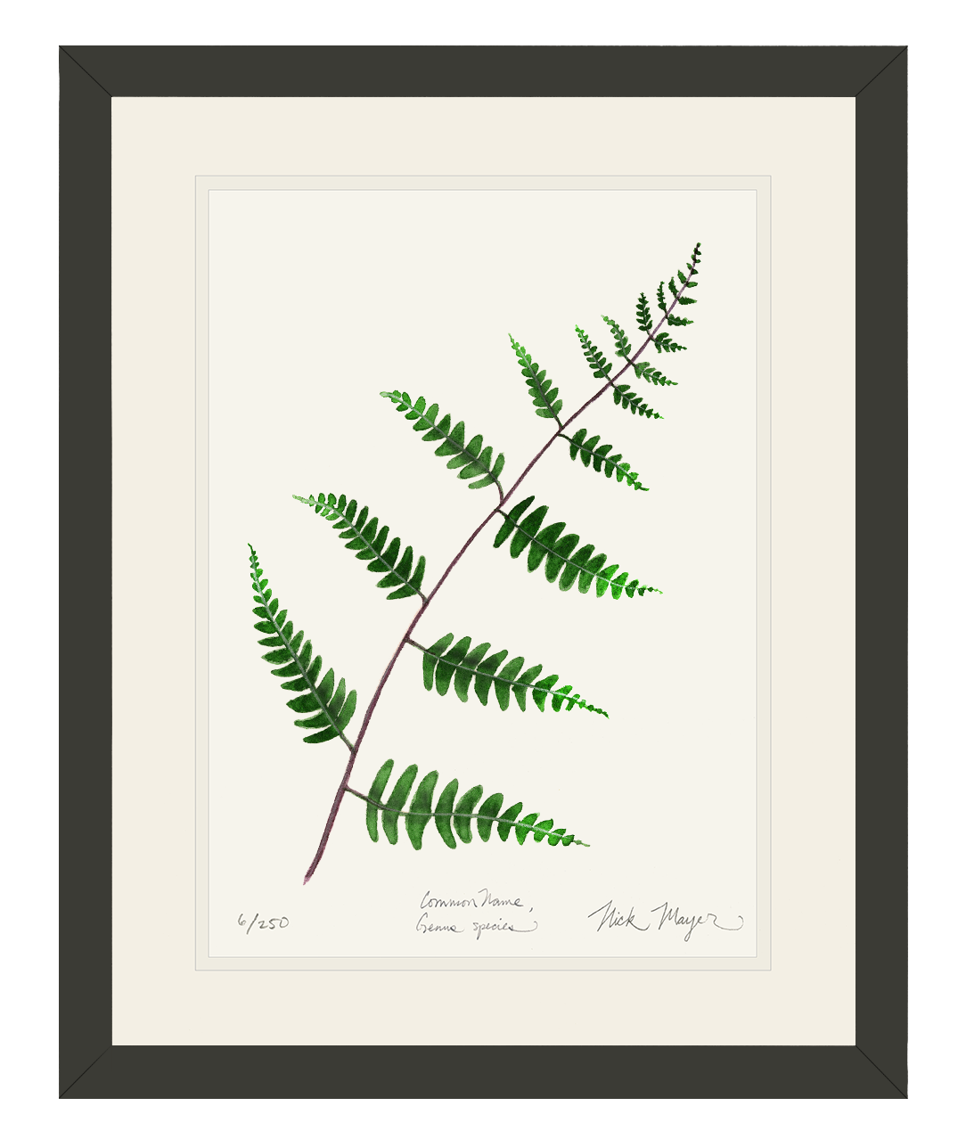 Goldie's Wood Fern Limited Edition Print