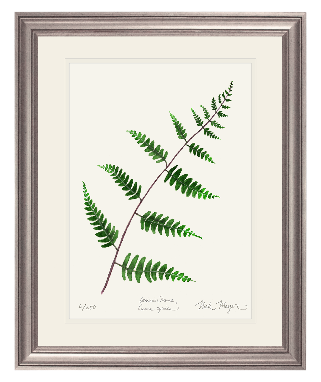 Goldie's Wood Fern Limited Edition Print
