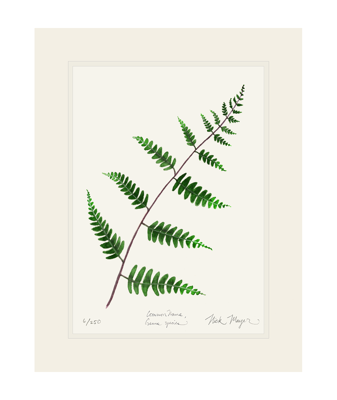 Goldie's Wood Fern Limited Edition Print
