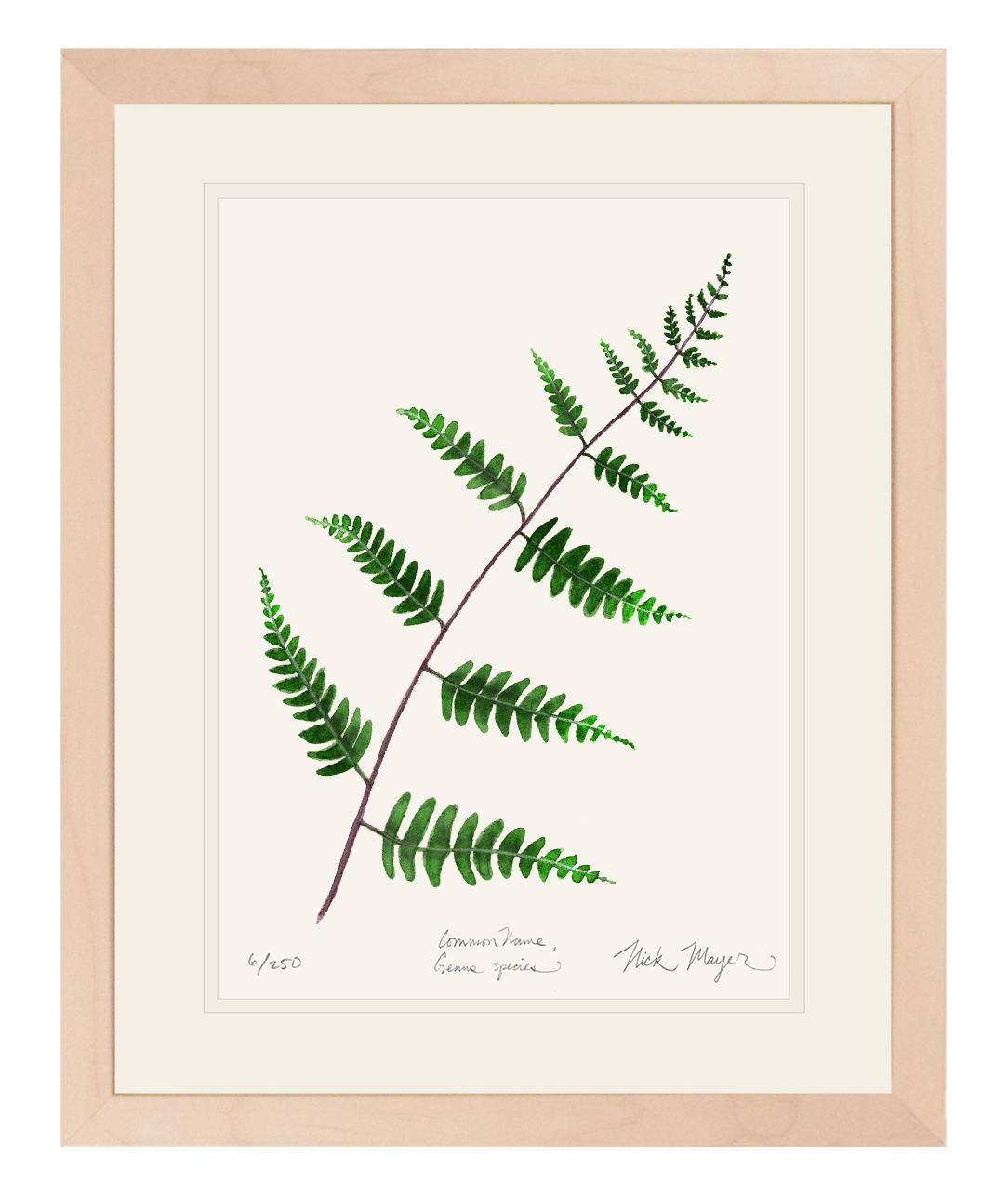 Goldie's Wood Fern Limited Edition Print