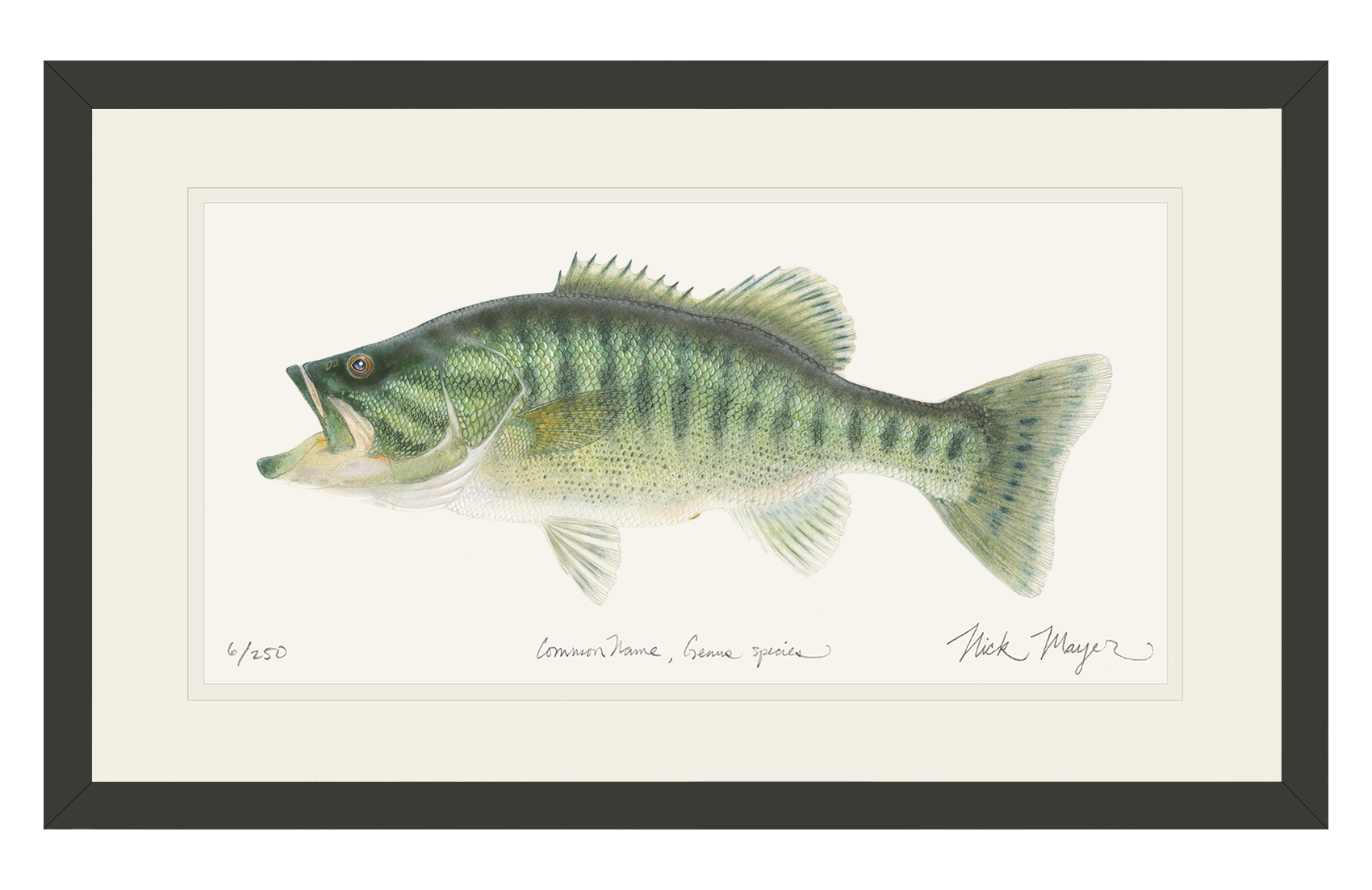 Guadalupe Bass Print