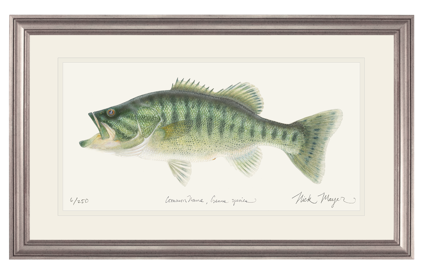 Guadalupe Bass Print
