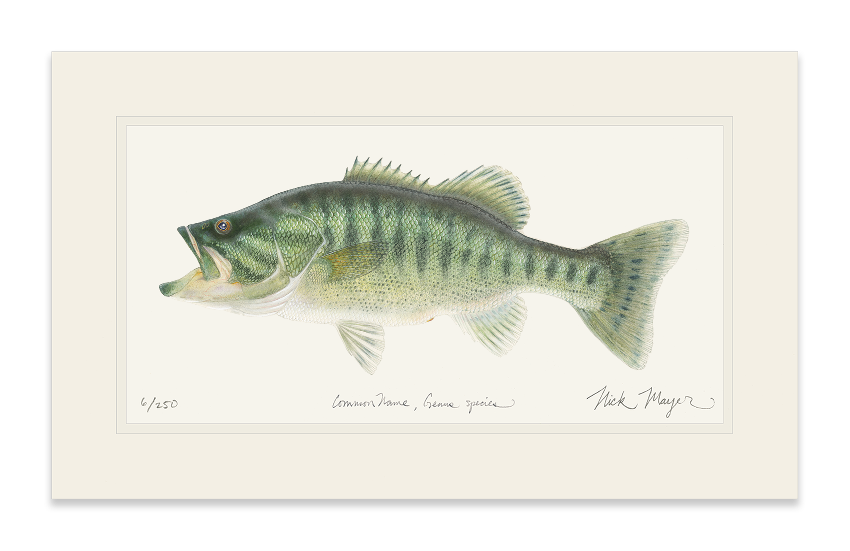 Guadalupe Bass Print