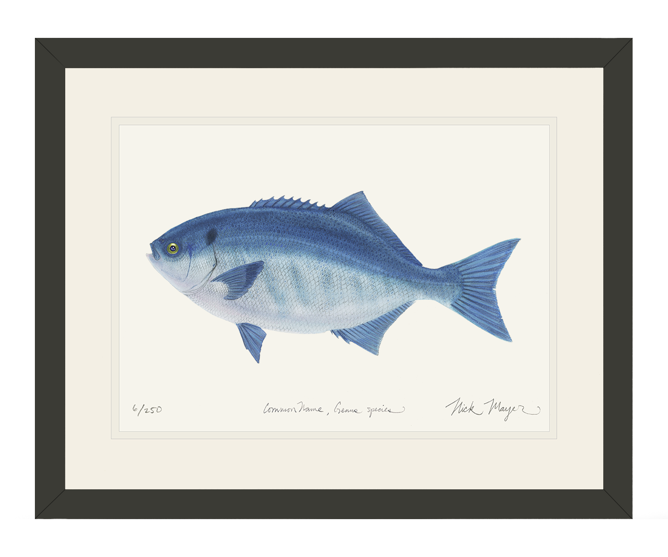 Halfmoon Print