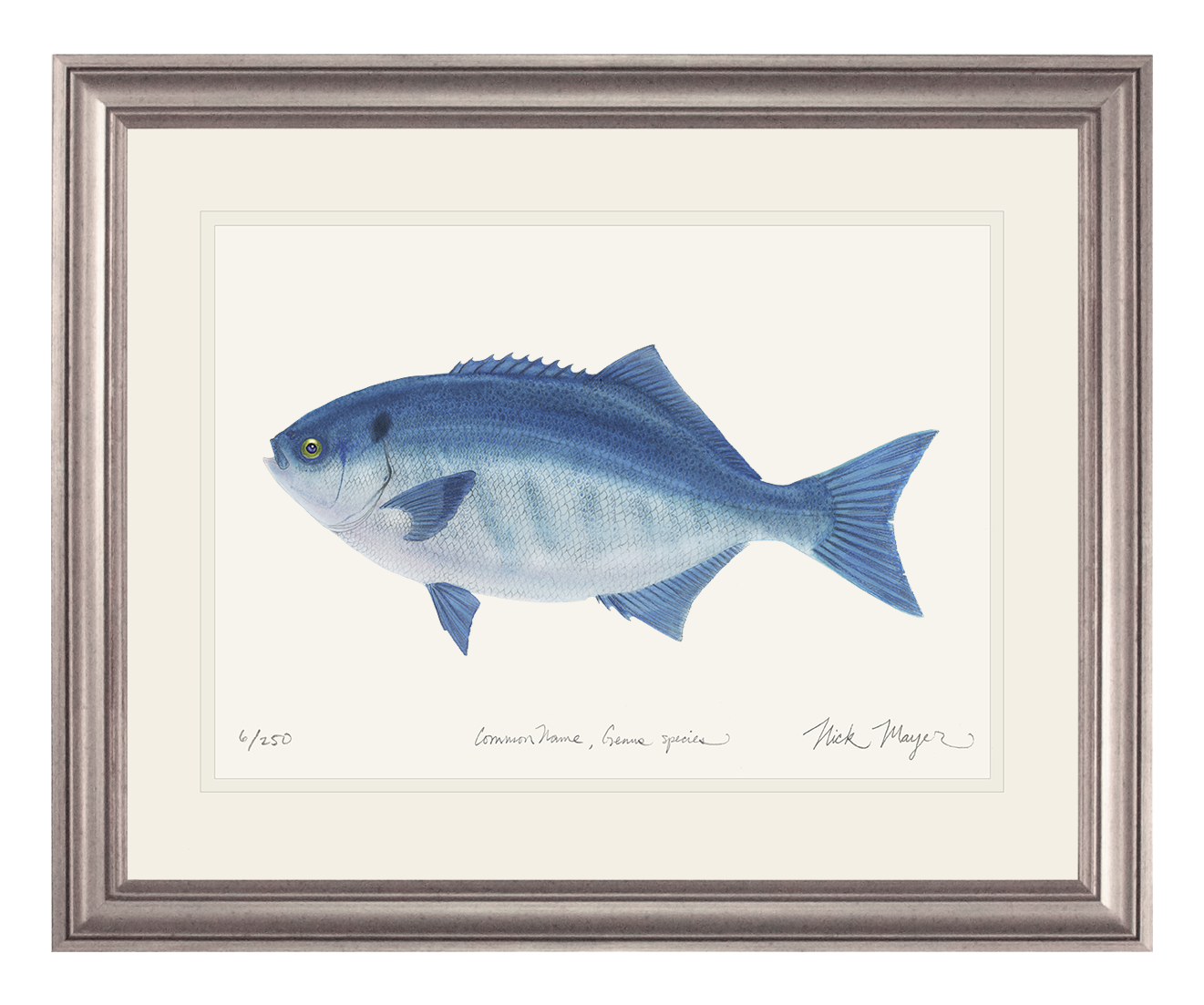 Halfmoon Print