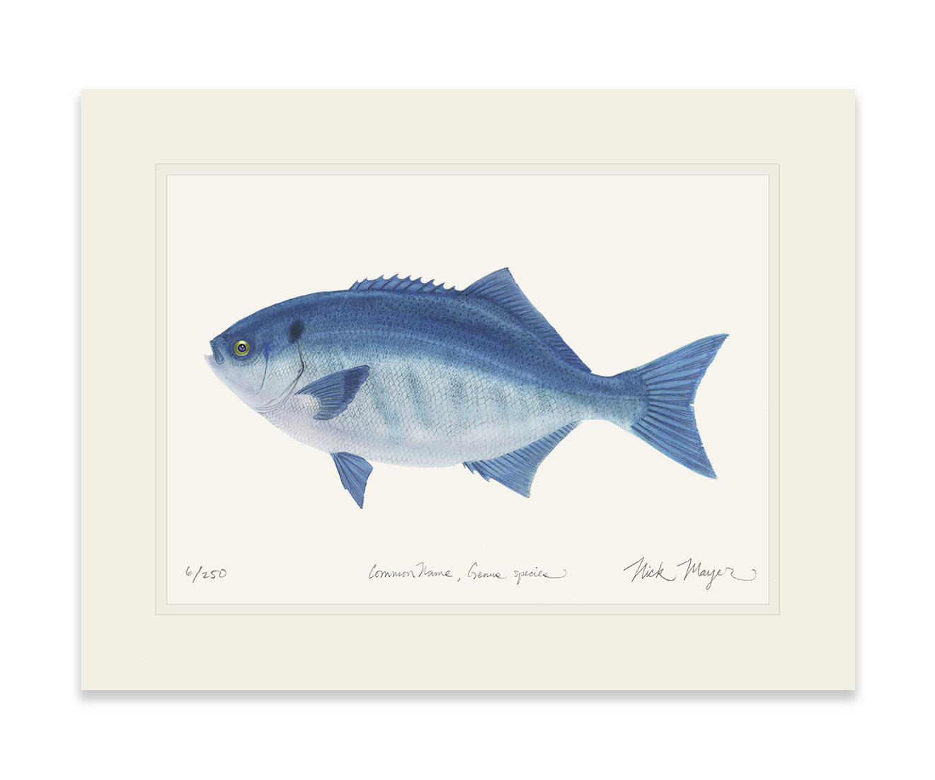 Halfmoon Print
