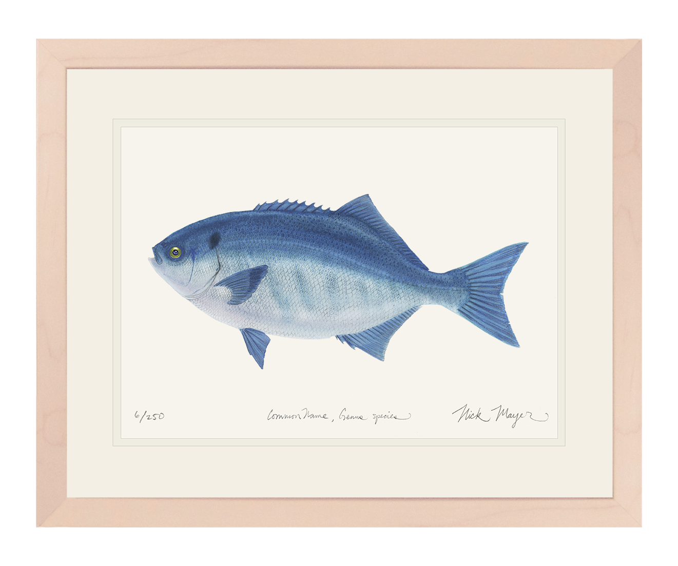 Halfmoon Print