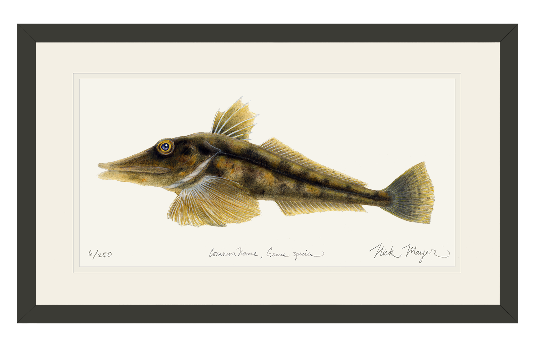Antarctic Icefish Print