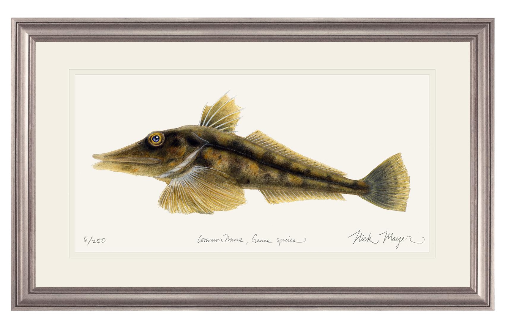 Antarctic Icefish Print