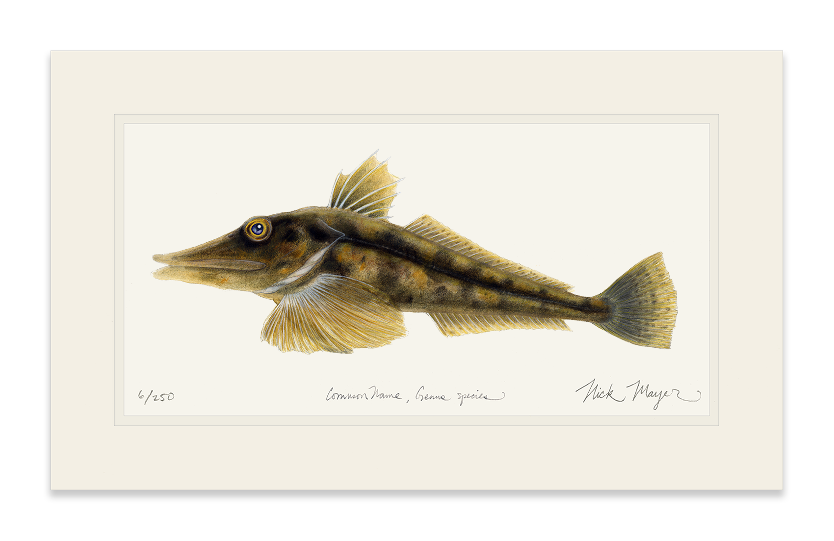 Antarctic Icefish Print