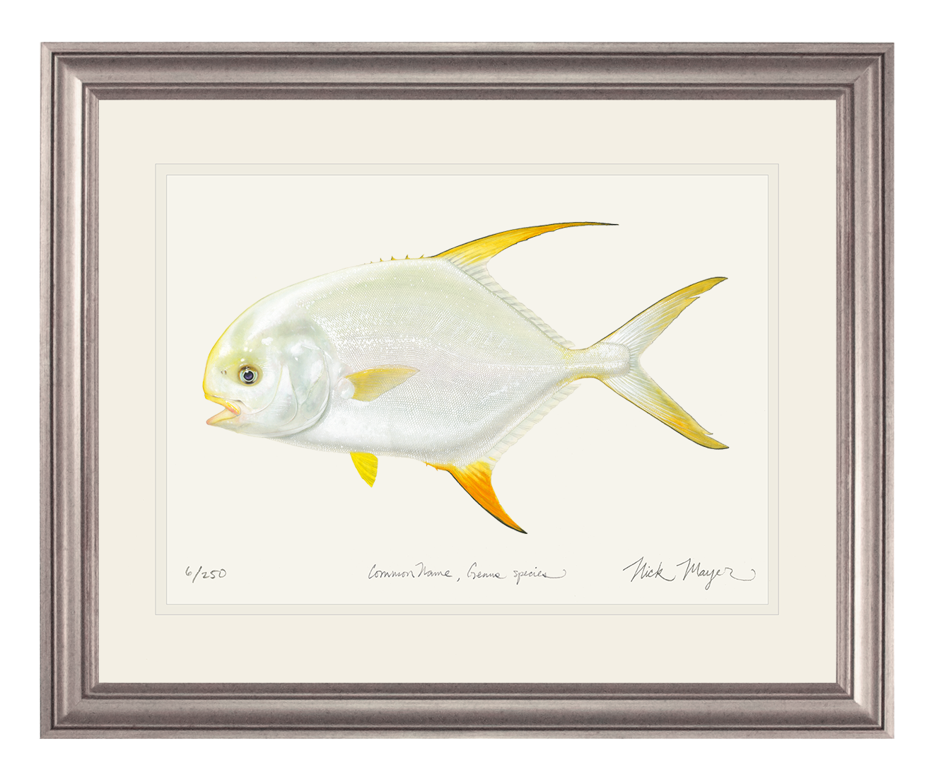 Indo Pacific Permit II Limited Edition Print