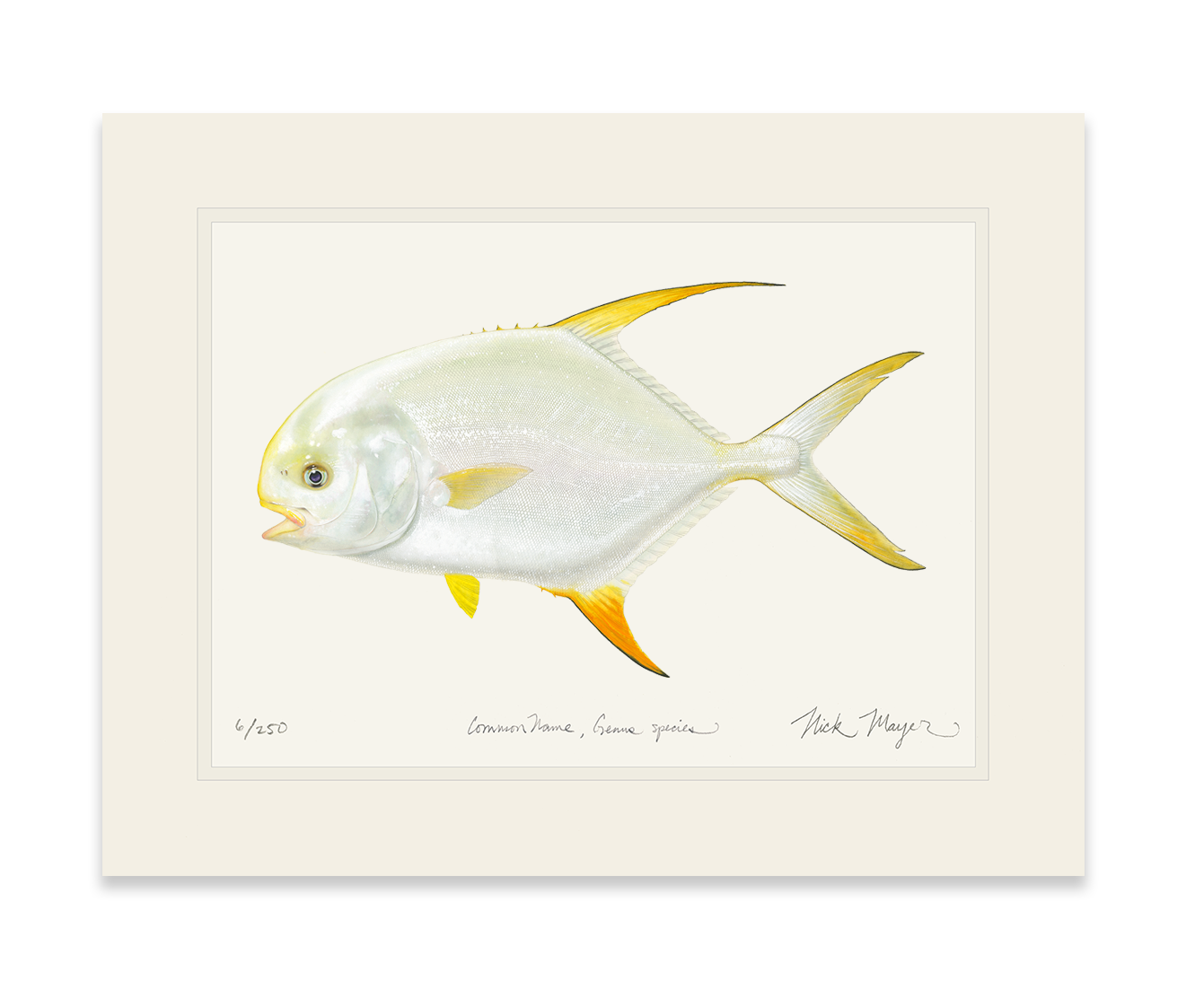 Indo Pacific Permit II Limited Edition Print