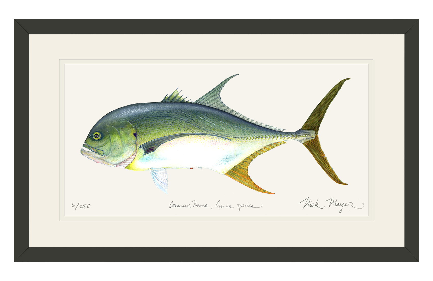 Jack Crevalle Limited Edition Print