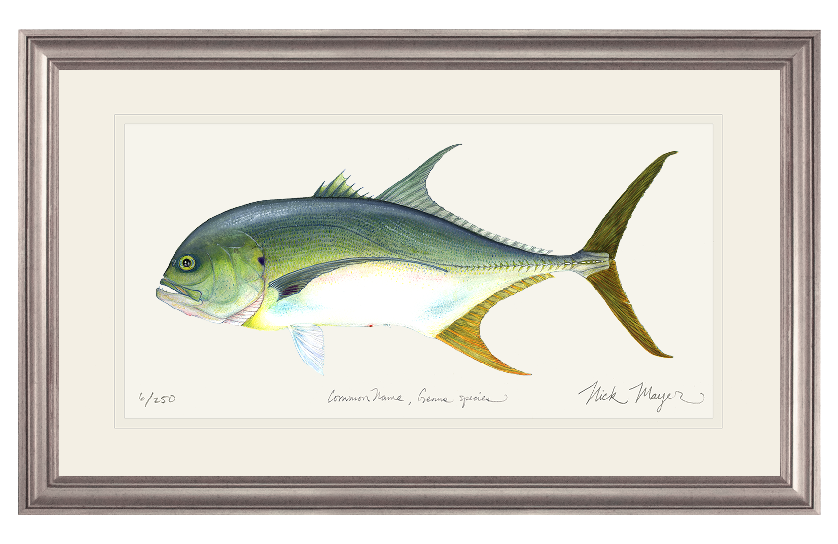 Jack Crevalle Limited Edition Print
