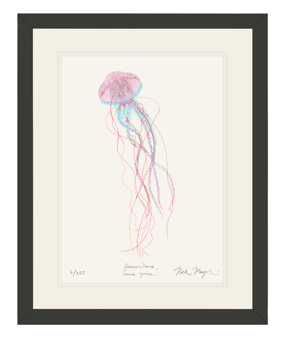 Pink Jellyfish Limited Edition Print
