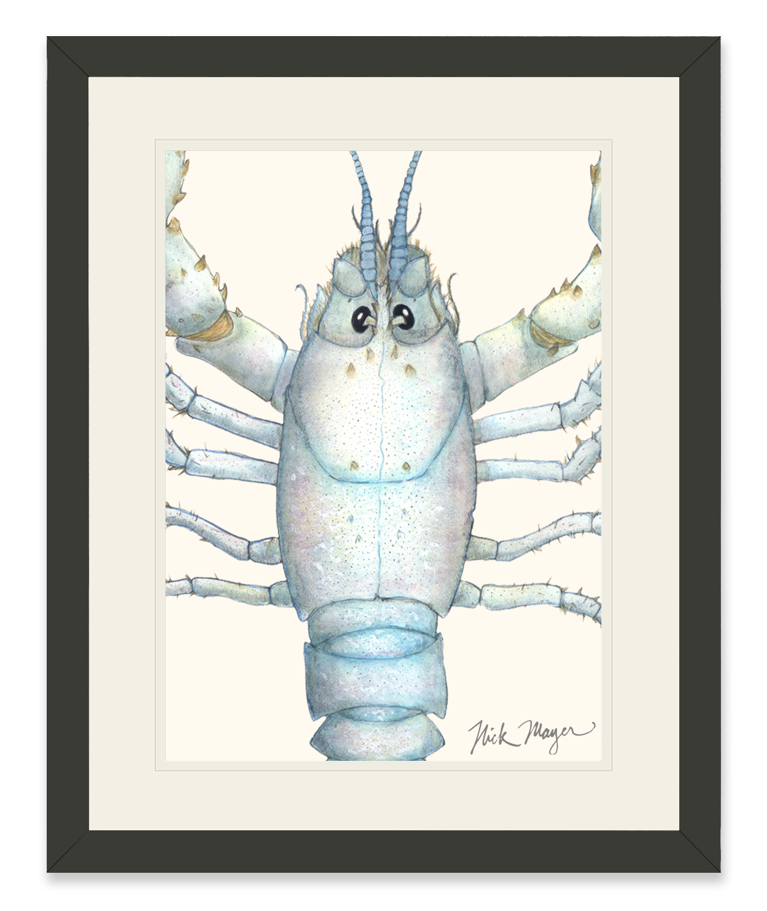 White Lobster Closeup Limited Edition Print