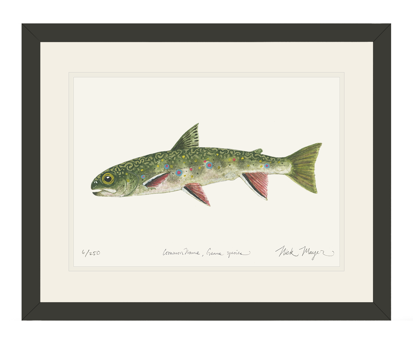 Juvenile Brook Trout Limited Edition Print