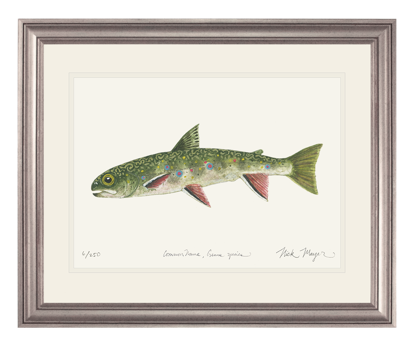 Juvenile Brook Trout Limited Edition Print